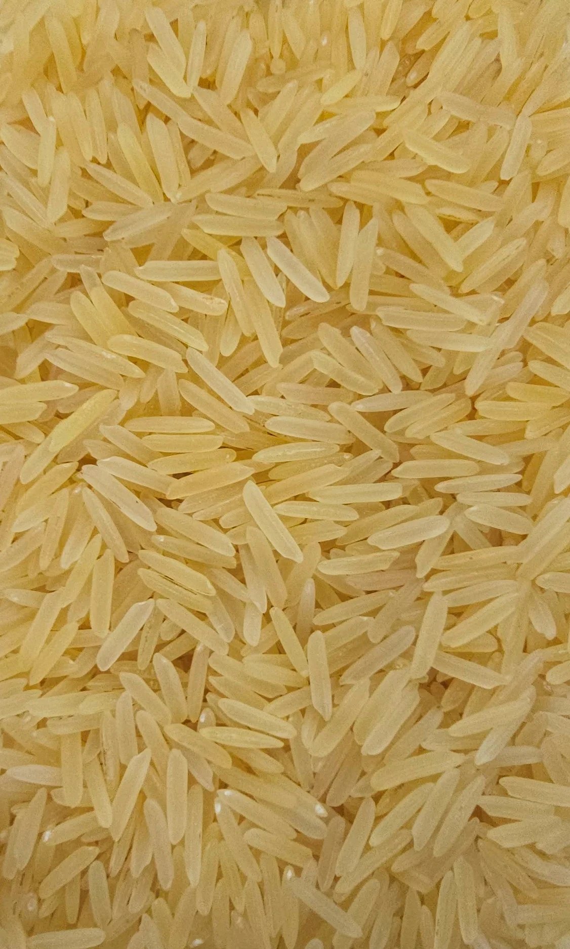 PUSA Golden Sella Basmati Rice
